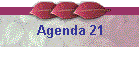 Agenda 21