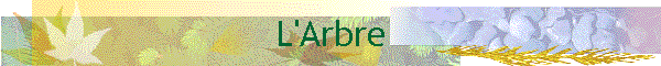 L'Arbre