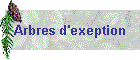 Arbres d'exeption