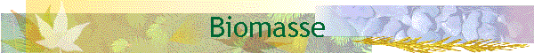 Biomasse
