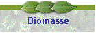 Biomasse