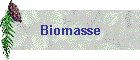 Biomasse