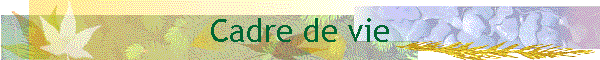 Cadre de vie