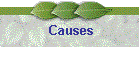Causes