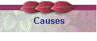 Causes