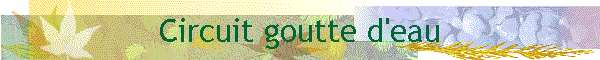 Circuit goutte d'eau