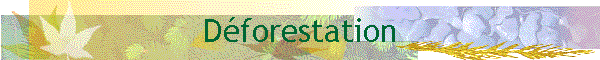 Dforestation