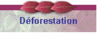 Dforestation