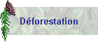 Dforestation