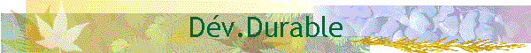 Dv.Durable