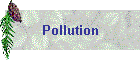 Pollution