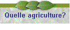 Quelle agriculture?