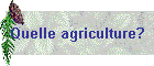 Quelle agriculture?