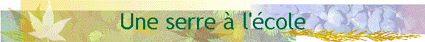 Une serre  l'cole