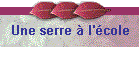 Une serre  l'cole
