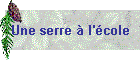 Une serre  l'cole