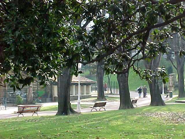 parc.jpg (57119 octets)